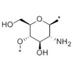 Chitin pictures