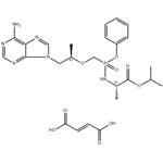 Tenofovir Alafenamide Fumarate pictures
