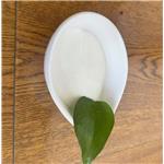 Tianeptine