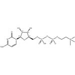 CYTIDINE 5'-DIPHOSPHOCHOLINE pictures