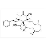 CYTOCHALASIN C