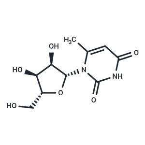 6-Methyluridine