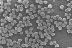 Curpous oxide