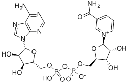 β-Nicotinamide adenine dinucleotide