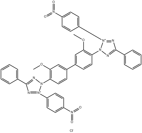 Nitrotetrazolium blue chloride