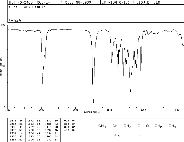 Ethyl isovalerate(108-64-5) IR1