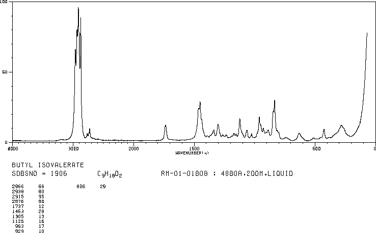 Butyl isovalerate(109-19-3) IR1