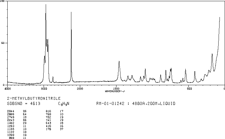 2-METHYLBUTYRONITRILE(18936-17-9) IR1