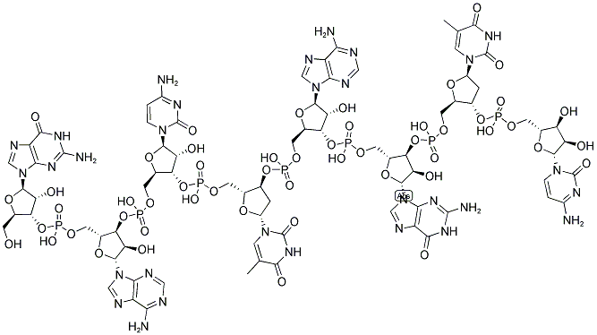 GACTAGTC, 5'-NON-PHOSPHORYLATED Structure