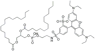 384833-01-6