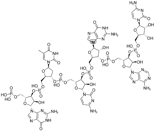 GTCGAC, 5'-PHOSPHORYLATED