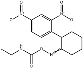 1-[2-(([(ETHYLAMINO)CARBONYL]OXY)IMINO)CYCLOHEXYL]-2,4-DINITROBENZENE Struktur