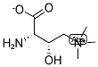 L-AMINOCARNITINE Struktur