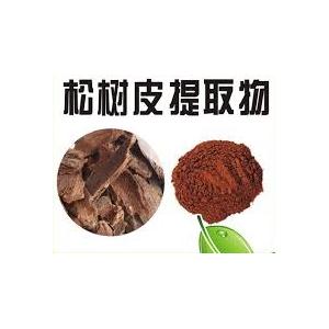 松樹皮提取物