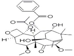 卡巴他賽中間體 產(chǎn)品圖片
