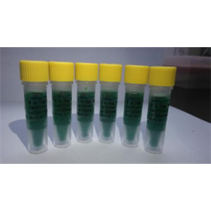 miRNA熒光定量RT-PCR檢測(cè)試劑盒