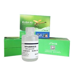 分子生物學(xué)級糖原溶液(Glycogen Solution)，10mg/mL