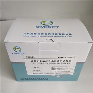 雙螢光素酶報(bào)告基因檢測試劑盒