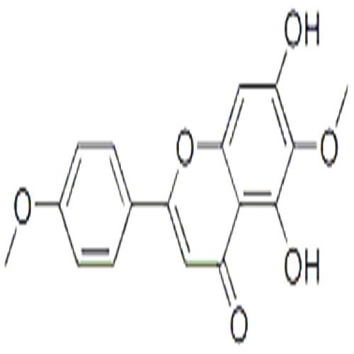 柳穿魚(yú)黃素.jpg