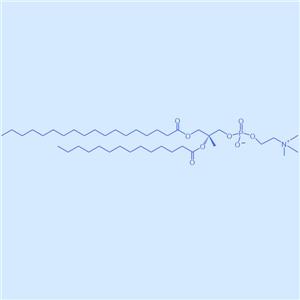 SMPC,1-硬脂酰-2-肉豆蔻?；蚜字?20664-02-2