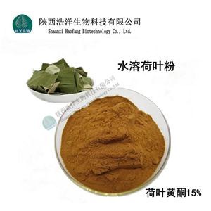 荷葉提取物；荷葉黃酮；荷葉堿