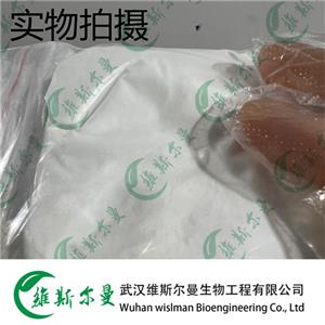 吉非替尼 184475-35-2 99%高含量 維斯?fàn)柭铿F(xiàn)貨 13419635609