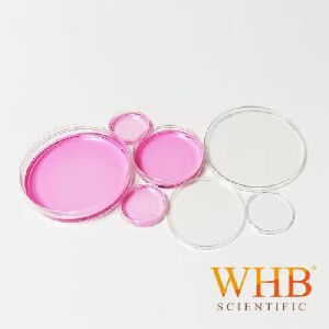 TC處理透明100mm細(xì)胞培養(yǎng)皿，易握邊，滅菌|100mm|臥宏/WHB