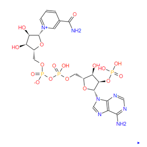 煙酰胺腺嘌呤雙核苷酸磷酸鹽，Triphosphopyridine n，53-59-8