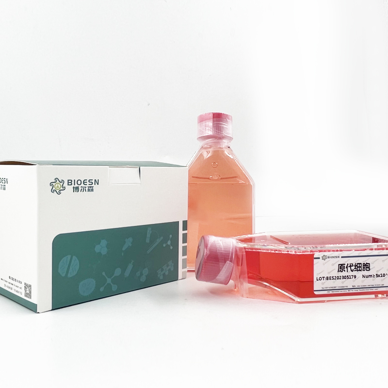 兔肝細胞生長因子(HGF) ELISA Kit
