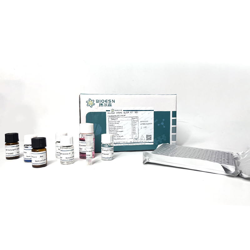 兔脂聯(lián)素(ADP) ELISA Kit