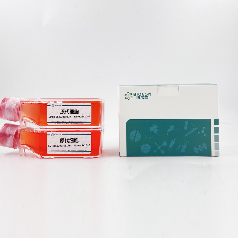 兔聚集蛋白聚糖(AGC) ELISA Kit