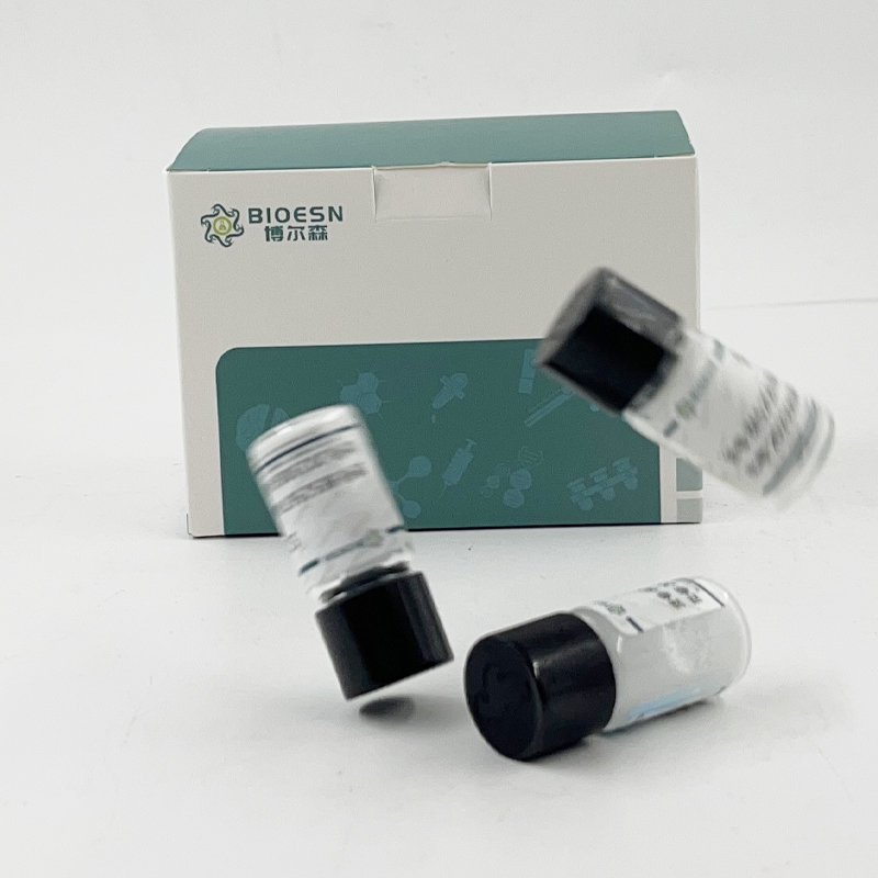 兔載脂蛋白A1(APOA1) ELISA Kit