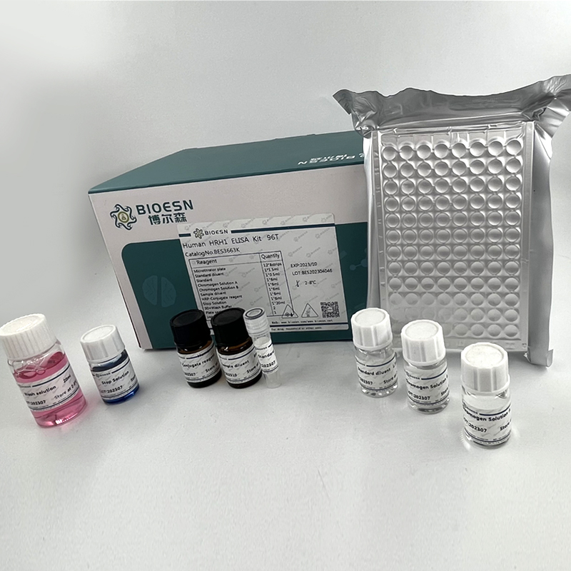 兔骨成型蛋白4(BMP4) ELISA Kit