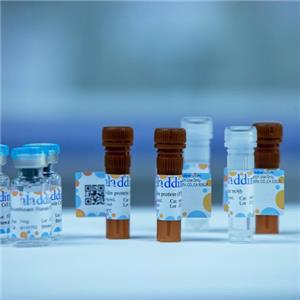 aladdin 阿拉丁 rp173619 calmodulin