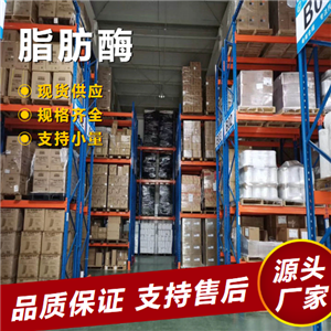   脂肪酶 9001-62-1 飼料加工皮革紡織加工 