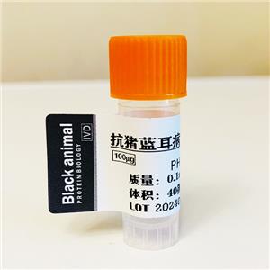  500μg 豬藍耳病毒NSP7蛋白；豬藍耳病毒蛋白；豬藍耳病毒抗原