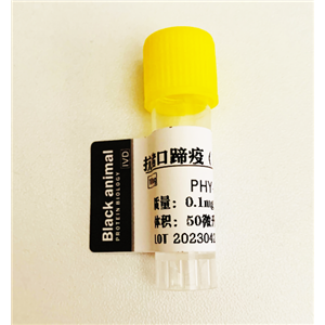 100μg 重組豬口蹄疫3ABC蛋白，豬口蹄疫病毒蛋白，豬口蹄疫抗原