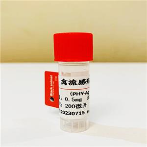 禽流感病毒陽性血清；禽流感病毒血清；禽流感血清