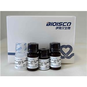 尿酸（Uric Acid, UA）含量測(cè)定試劑盒(分光光度法50T/48S)