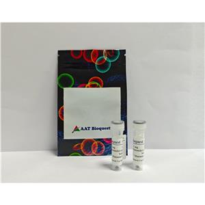鏈霉親和素偶聯(lián)物 iFluor 350-標記