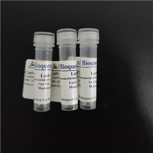 鏈霉親和素偶聯(lián)物 RPE-iFluor 647標記