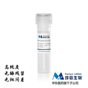 假尿苷三磷酸100mM 銨鹽溶液；pUTP,100mM Ammonium Salt Solution