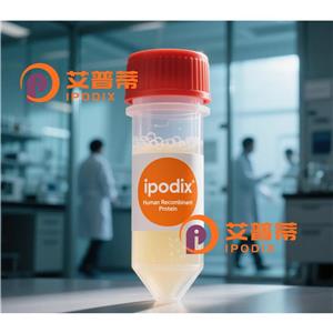 Axin 2抗體;Axin 2 Antibody—艾普蒂