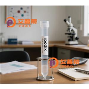 BRCC36抗體;BRCC36 Antibody—艾普蒂